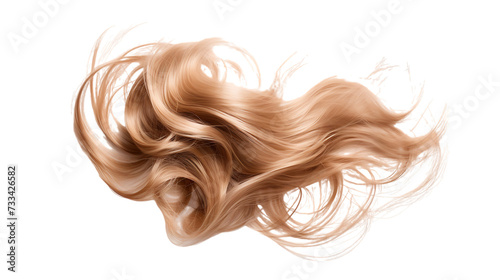 hair isolated on white background png