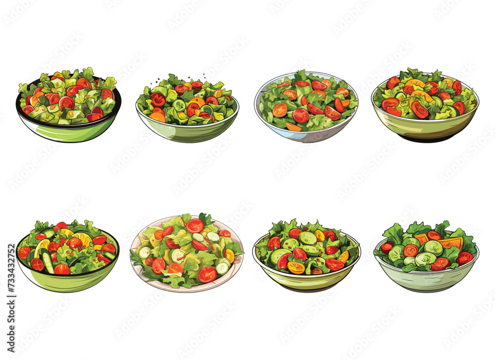 salad vector illustration isolated on white background. 
