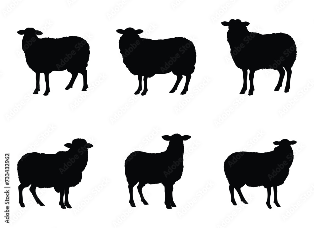 sheep vector illustration isolated on white background. 
