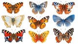 Butterflies collection isolated on white background. Colorful realistic illustration.