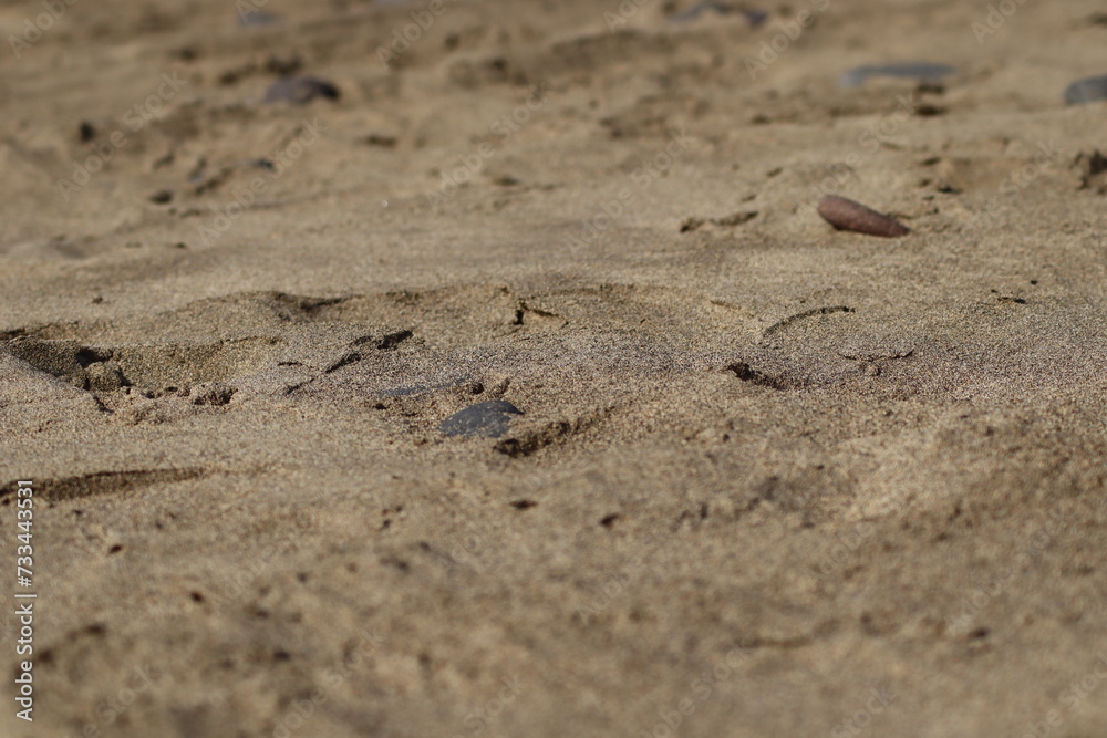 Detail photo of sand Detail photo of sand