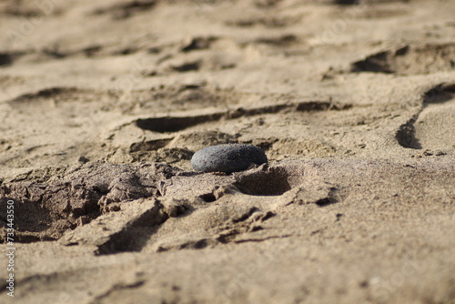Smooth round rock submerged in sand © Tobias