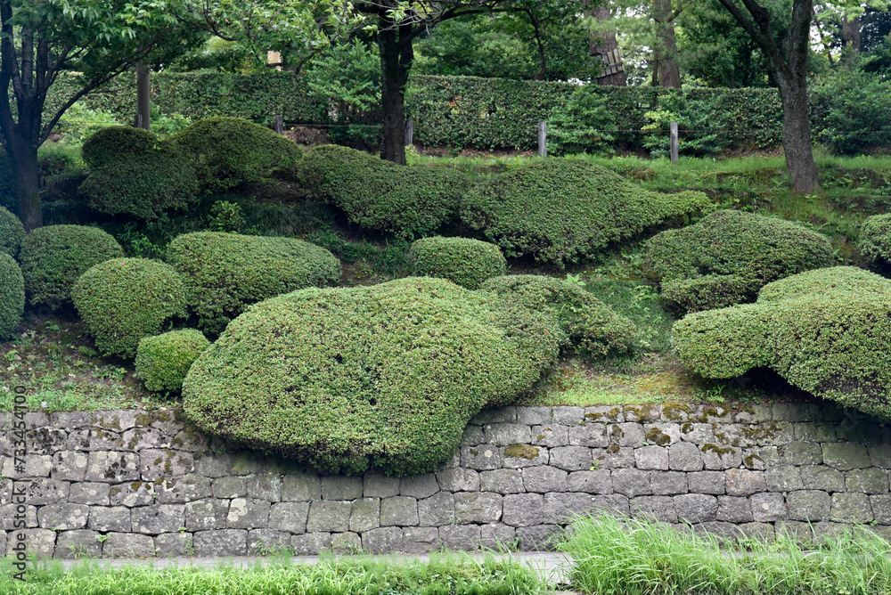 japanese garden in japan