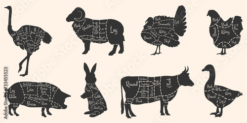 Silhouette diagrams of cuts of beef, pork, lamb, rabbit, chicken, duck, ostrich and turkey. Dark silhouettes on a white background. Vector EPS 10