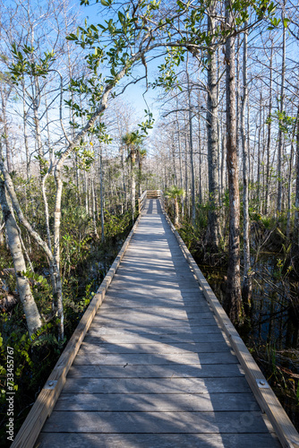 Boardwalk over wetlands of Grassy Waters Preserve in West Palm Beach, Florida on clear sunny winter morning.