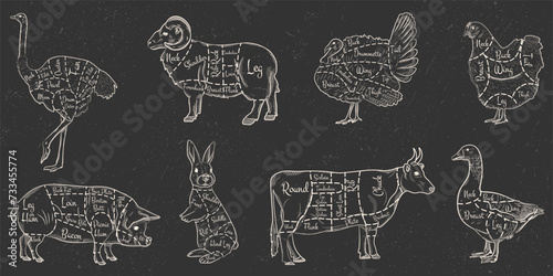 A set of animal cuts for the butcher shop. Beef, cow, goose, pork, ram, ostrich, rabbit, rabbit, turkey, chicken. Vector illustration in white lines on dark background with grunge texture