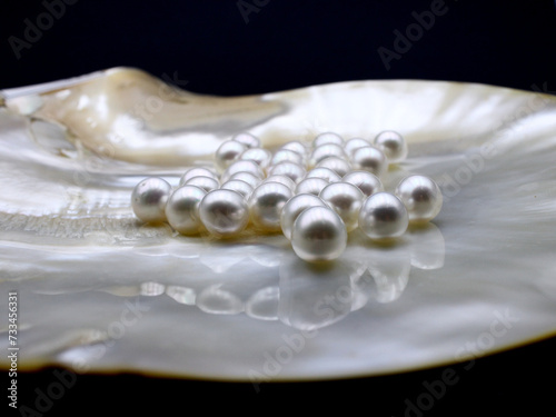 Expensive and luxurious saltwater South Sea pearls in a white shell, ready to be made into earrings, pendants or necklaces and sold in jewelry store. Popular feminine wedding accessory.