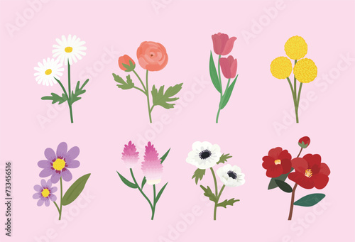 Fototapeta Naklejka Na Ścianę i Meble -  Types of flowers vector