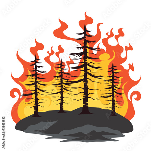 forest fires deforestation
