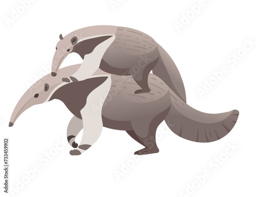 Anteater mammal cartoon animal design vector illustration isolated on white background