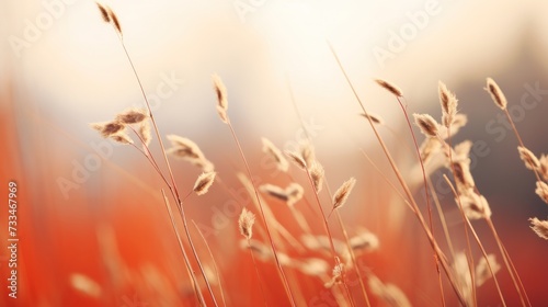 A close up of a field with tall grasses and some trees, AI