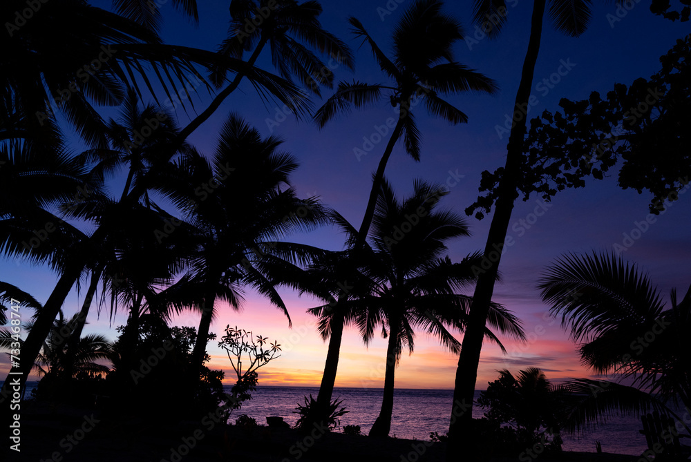 Sunset with Palm trees