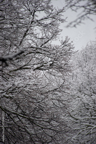 Nevicata a Sassari. Febbraio 2012