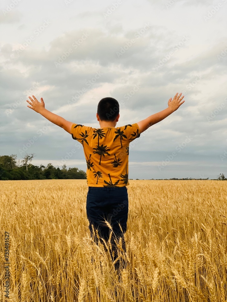 boy in a wheat field with a landscape and beauty nature boy in a wheat field with a landscape and beauty nature