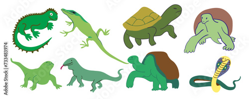 flat simple animal collection in vector.Template for logo poster icon for application and website. A series of animal images in flat style © Anna