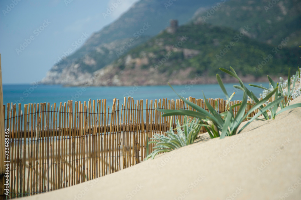 sand dunes and fence on the beach. Alghero, Sardinia, Italy