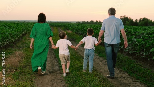 Mother father and sons stroll through plantation in evening. Sons spend time with mother and father on weekend after sunset. Father mother and children walk around vegetable garden on vocation