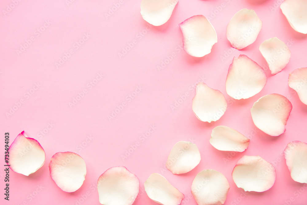 White rose petals on pastel pink background. Valentines Day or Wedding concept. Beautiful greeting card. Copy space for the text