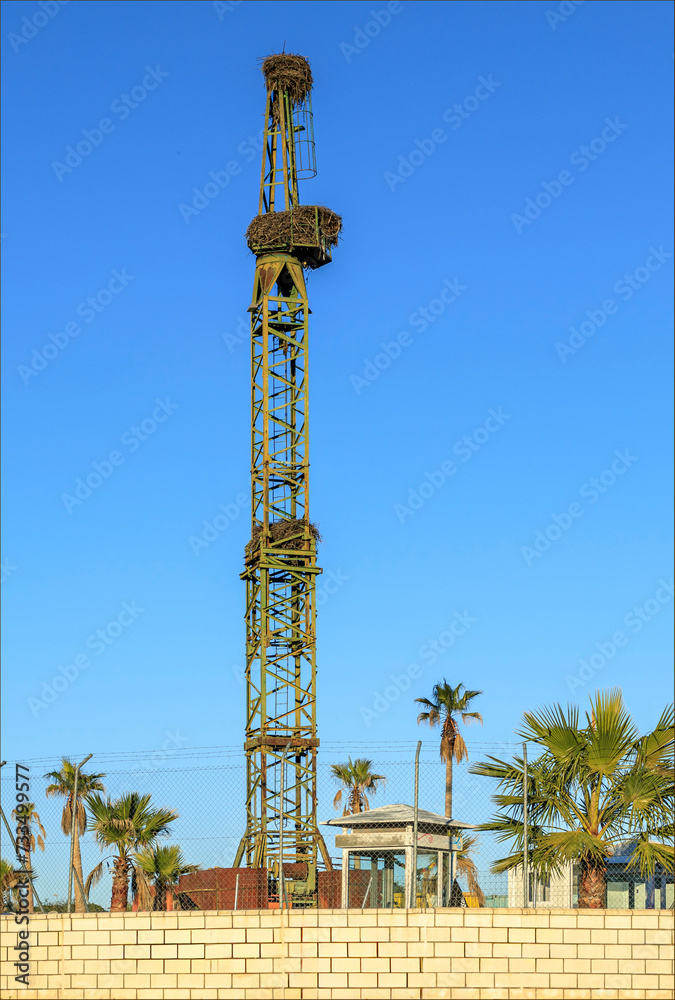 Obraz premium Green painted metal tower with storks nests
