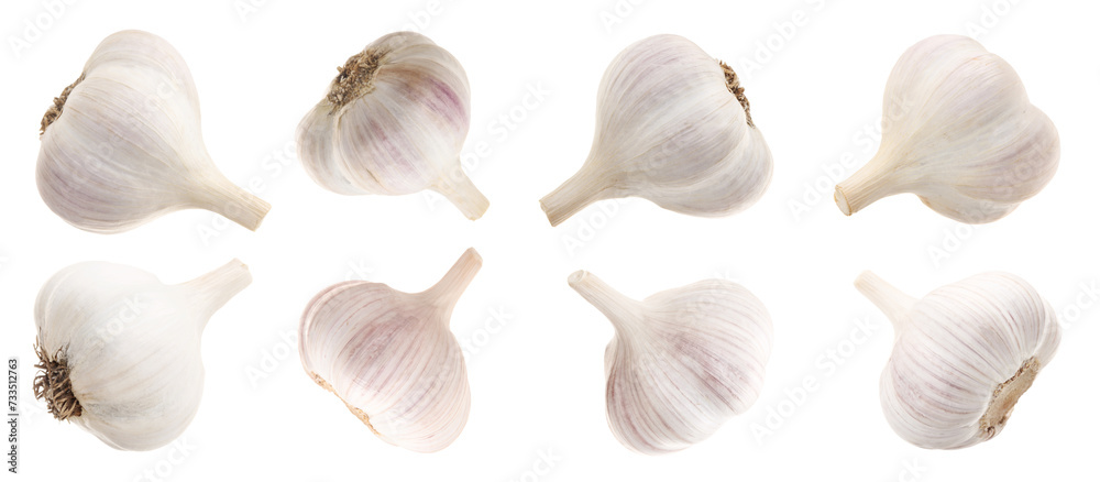 Fresh garlic bulbs isolated on white, set Fresh garlic bulbs isolated on white, set