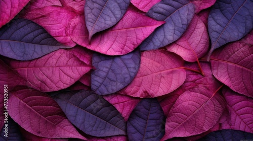 vibrant colorful tree leaves form an intricate pattern