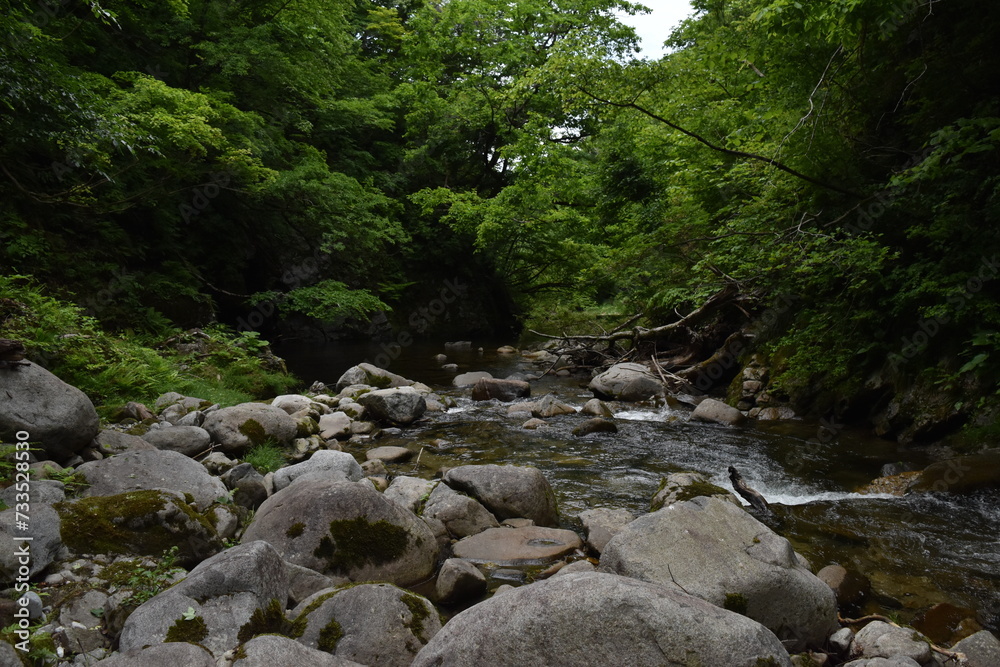渓流釣り 渓流釣り
