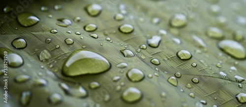 Light green rip stop fabric for tents with water-repellent properties and raindrop patterns.