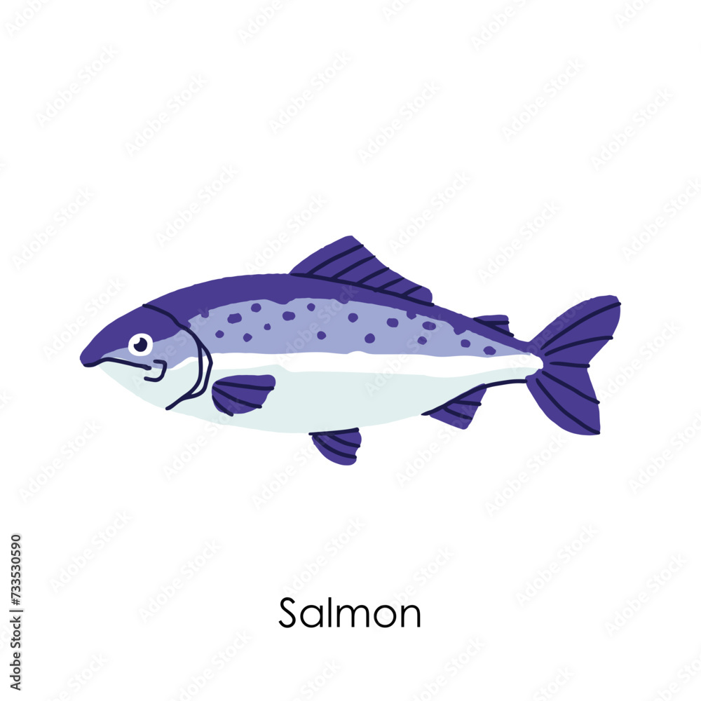 Fototapeta premium Salmon Edible Salt Water Fish Element