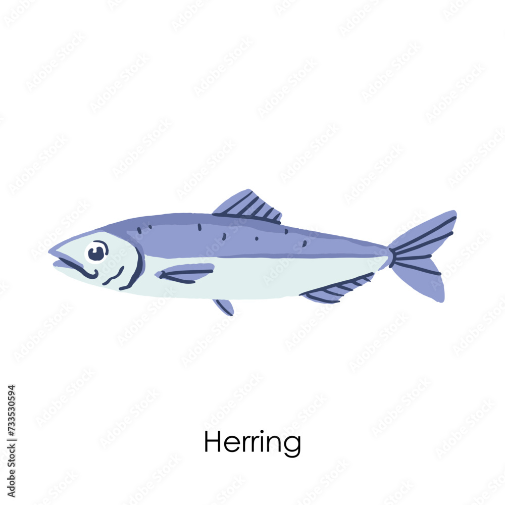Herring Edible Salt Water Fish Element