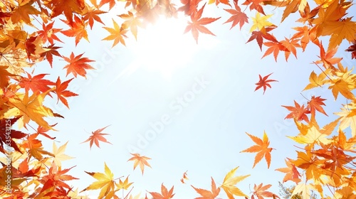 Fundo fotogr  fico para o outono  com folhas secas e aspecto r  stico.