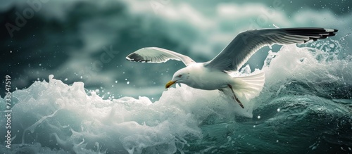 Stunning Seagull Flying Over the Majestic Ocean - A Seagull in Flight, Gracefully Soaring Over the Vast Ocean Waters