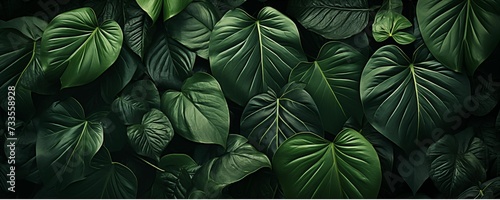 Dark Green Tropical Leaves Banner. Generative AI