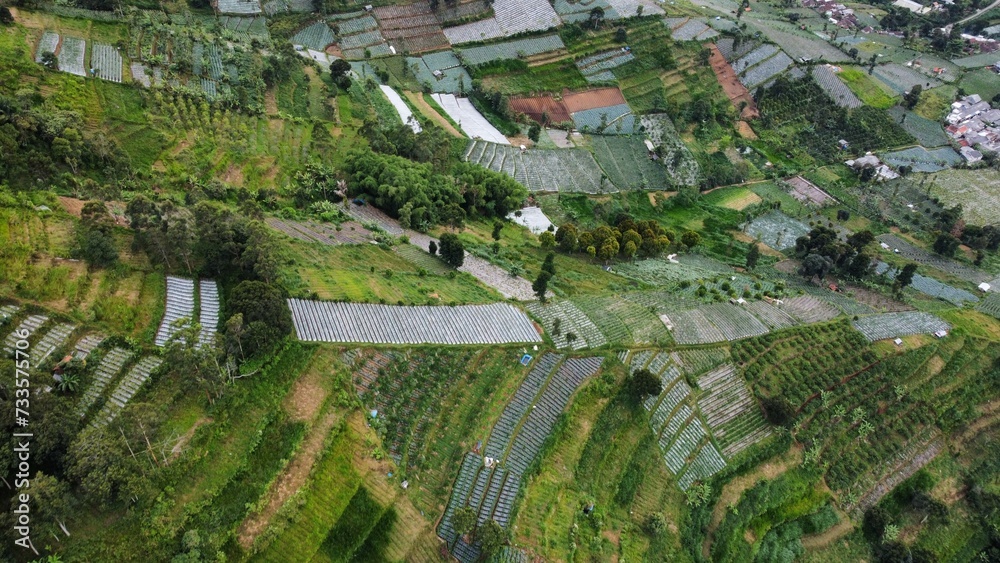 Aerial view of terraced vegetable plantation