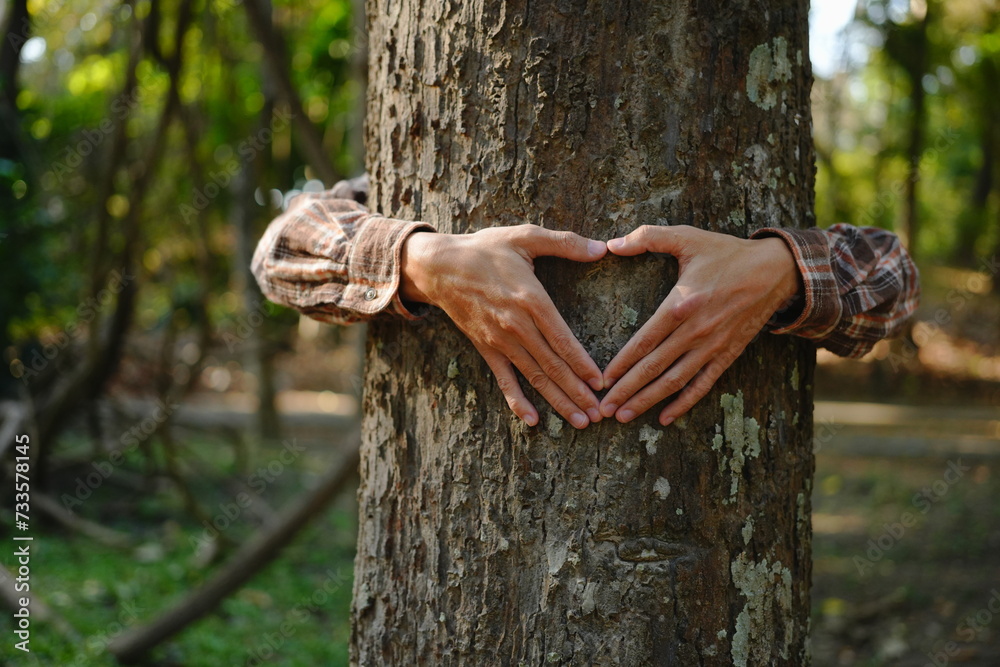 Human hands touching tree green forest in tropical woods, hug tree or protect environment, co2, net zero concept, pollution or climate change, earth day