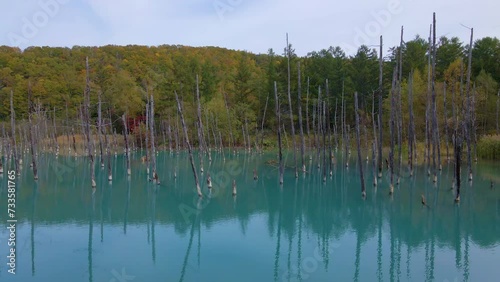 Cinematic aerial shot of Aoiike Blue Pond in Biei City in Hokkaido, Japan