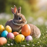 Little Bunny and easter eggs on meadow,Funny decoration,Happy Easter. 