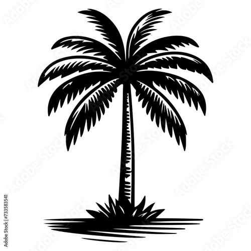 Palm or coconut Tropical tree silhouette, hand drawing black line doodle sketch style vector illustration