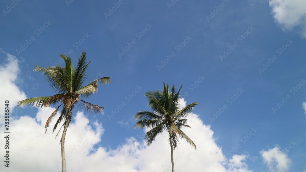 Obraz premium Low angle view of palm trees against cloudy sky