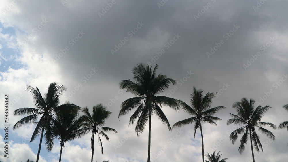 Obraz premium Low angle view of palm trees against cloudy sky