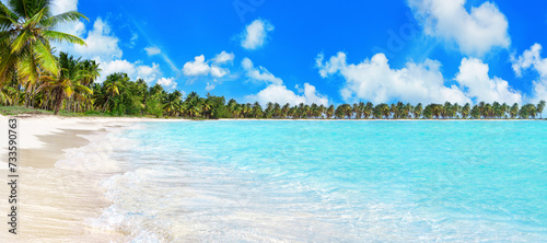Tropical island paradise sea beach, turquoise water, ocean wave, coconut palm trees, sand, sun sky cloud, beautiful nature panorama landscape, Caribbean, Maldives, Thailand, summer holidays, vacation © Vera NewSib