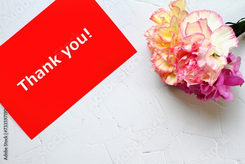 Mother's day background with pink carnation