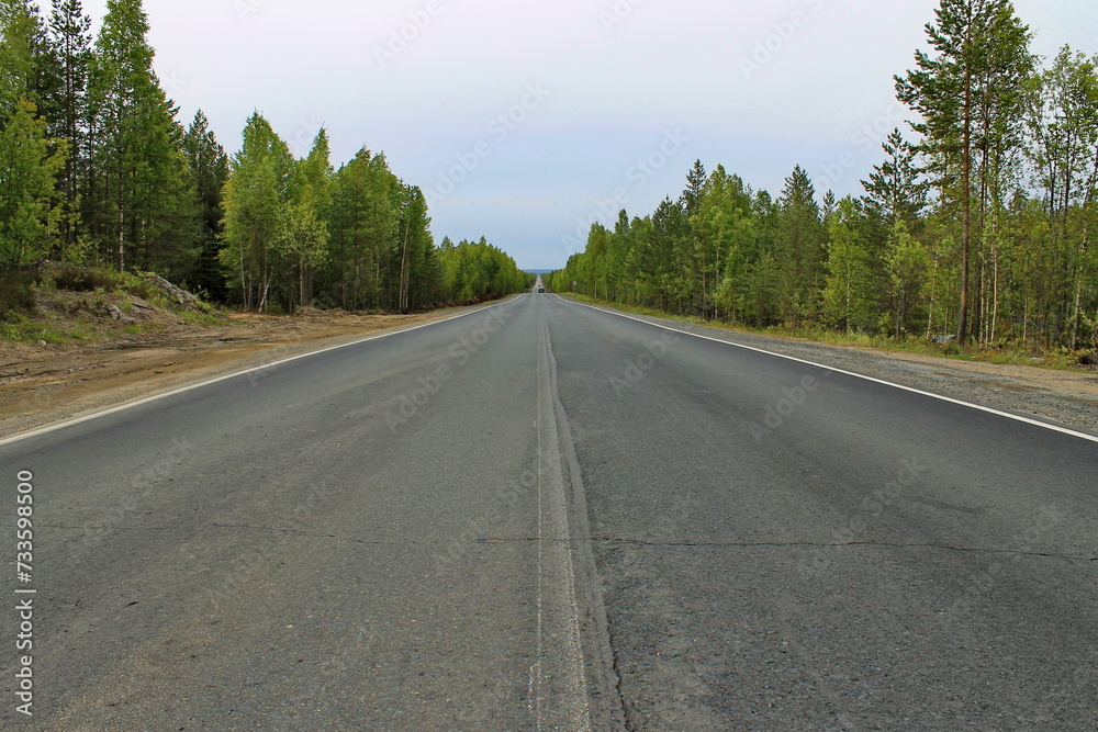 Fototapeta premium An asphalt road leading to the horizon through the forest. Republic of Karelia, Russia.