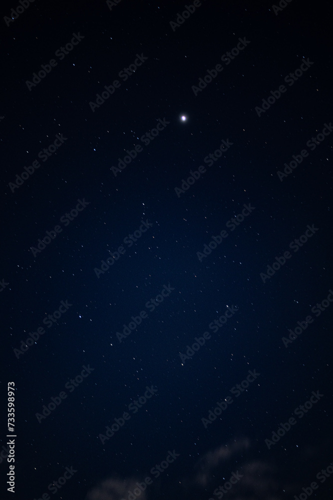 Fototapeta premium 冬の星空