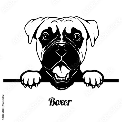Peeking Boxer - Dog Breed - Pet Vector Portrait, Dog Silhouette Stencil - Cricut file EPS