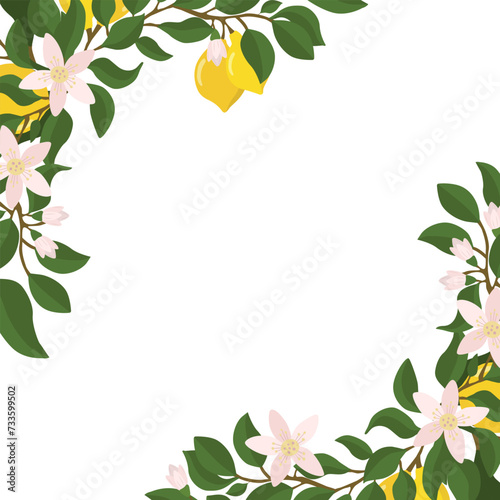 A border of lemon twigs and lemons in the corner of the composition. Vector illustration isolated on a white background.