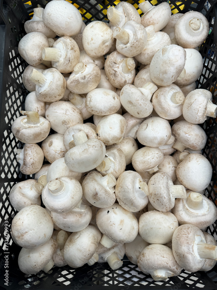 Champignon mushrooms on the counter in the market