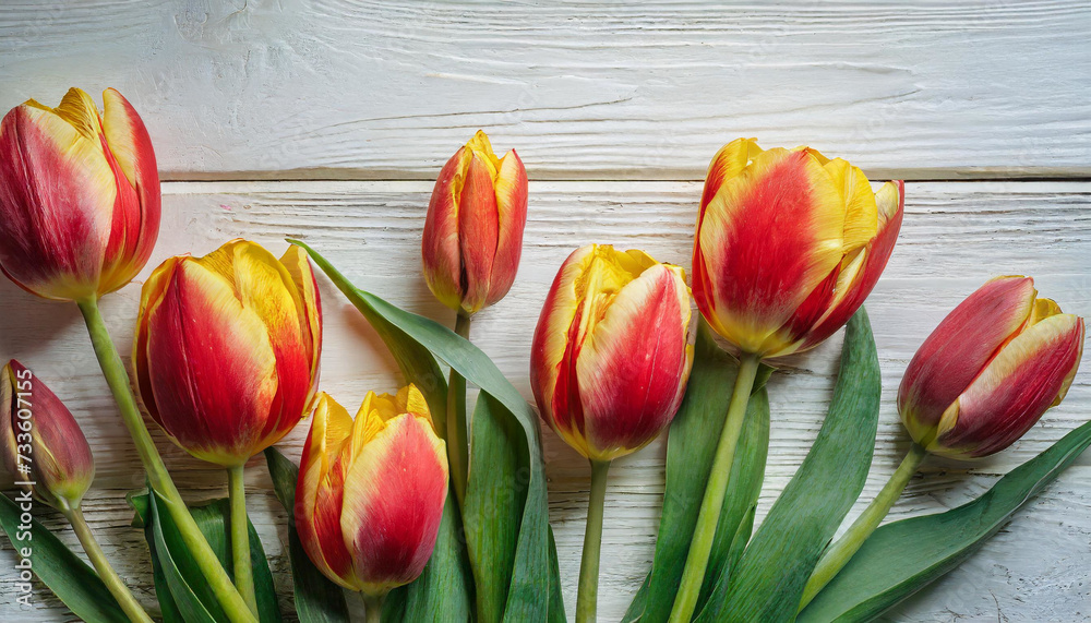 Fototapeta premium Top-Down Tulip Elegance: Beautiful Bunch in Red and Yellow Hues