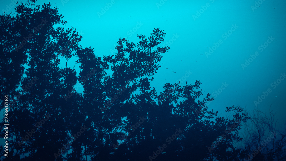 Turquoise river water with reflection of dark shadows of trees at time of dusk Turquoise river water with reflection of dark shadows of trees at time of dusk