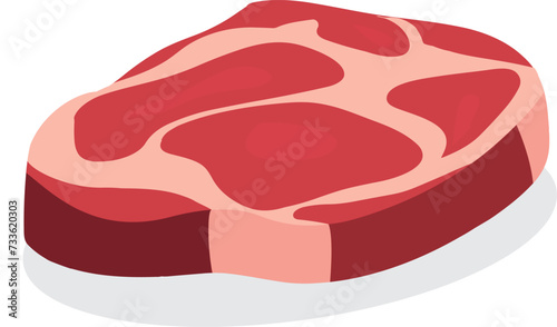 isolated slab of red raw meat
