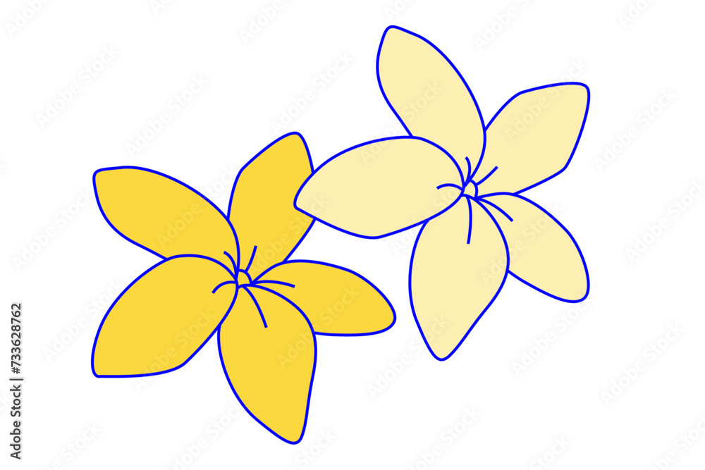 Yellow frangipani flowers illustration isolated on white background. Tropical plumeria concept. Design for spa, wellness, textile, wallpaper.